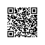 RT1206BRD07402KL QRCode