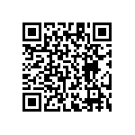 RT1206BRD0741K2L QRCode