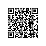 RT1206BRE0716K2L QRCode