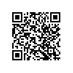 RT1206BRE0728RL QRCode