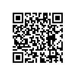 RT1206BRE07300KL QRCode