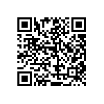 RT1206BRE07300RL QRCode