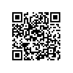 RT1206CRB0716R9L QRCode