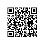 RT1206CRB0717K8L QRCode