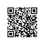 RT1206CRB0724RL QRCode