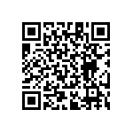 RT1206CRB07280RL QRCode