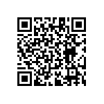 RT1206CRB0729R4L QRCode