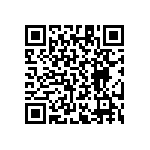 RT1206CRB0748K7L QRCode