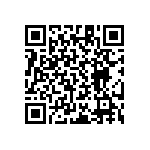 RT1206CRB0788K7L QRCode