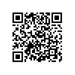 RT1206CRC0718RL QRCode