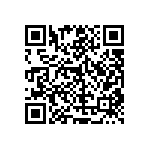 RT1206DRD07105KL QRCode