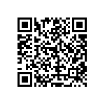 RT1206DRD07169RL QRCode