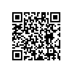 RT1206DRD07825RL QRCode