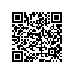 RT1206DRD078K87L QRCode