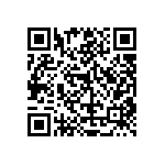 RT1206DRE071K13L QRCode