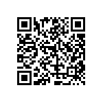 RT1206DRE078R06L QRCode