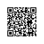 RT1206FRD0717R8L QRCode