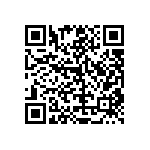 RT1206FRD071K96L QRCode