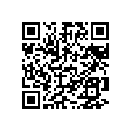 RT1206FRD0743RL QRCode