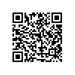 RT1206FRE07402RL QRCode