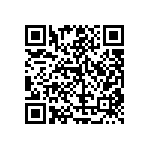 RT1206FRE07620KL QRCode