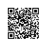 RT1206WRB0718K2L QRCode