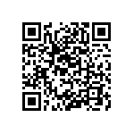 RT1206WRB0749K9L QRCode