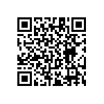 RT1206WRC0717R4L QRCode