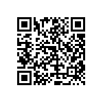 RT1206WRC078K87L QRCode