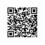 RT2010FKE071K33L QRCode