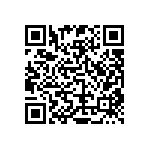 RT2010FKE0727R4L QRCode