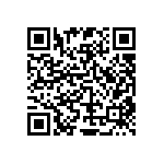 RT2010FKE0728R7L QRCode