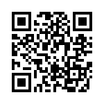 RT22C2X203 QRCode