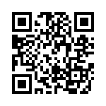 RT22C2X500 QRCode