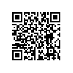 RT2512BKE07133KL QRCode