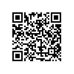 RT2512BKE07402RL QRCode