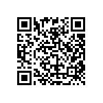 RT2512BKE077K32L QRCode