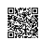 RT2512FKE0795R3L QRCode