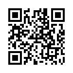 RT8101AGS QRCode