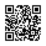 RT8241DZQW QRCode