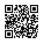 RT9017-20GBR QRCode