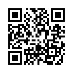 RT9032DGQWA QRCode