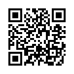 RT9073-12GB QRCode