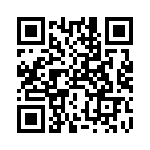 RT9169H-15GB QRCode