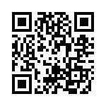 RT9480GQW QRCode