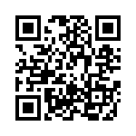 RT9728BHGE QRCode