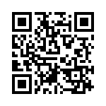 RT9741DGV QRCode