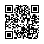 RT9917GQW QRCode