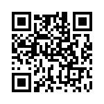 RVC2010FT95K3 QRCode