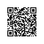 RWR80S1R65DSS73 QRCode